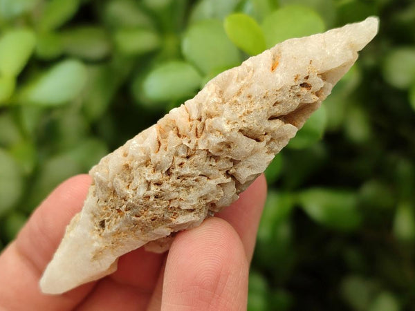 Natural Drusy Quartz Coated Spearhead Calcite Specimens x 20 From Albert's Mountain, Lesotho