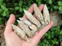 Natural Drusy Quartz Coated Spearhead Calcite Specimens x 20 From Albert's Mountain, Lesotho