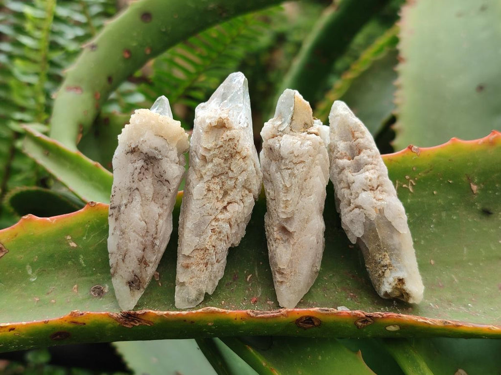 Natural Drusy Quartz Coated Spearhead Calcite Specimens x 20 From Albert's Mountain, Lesotho