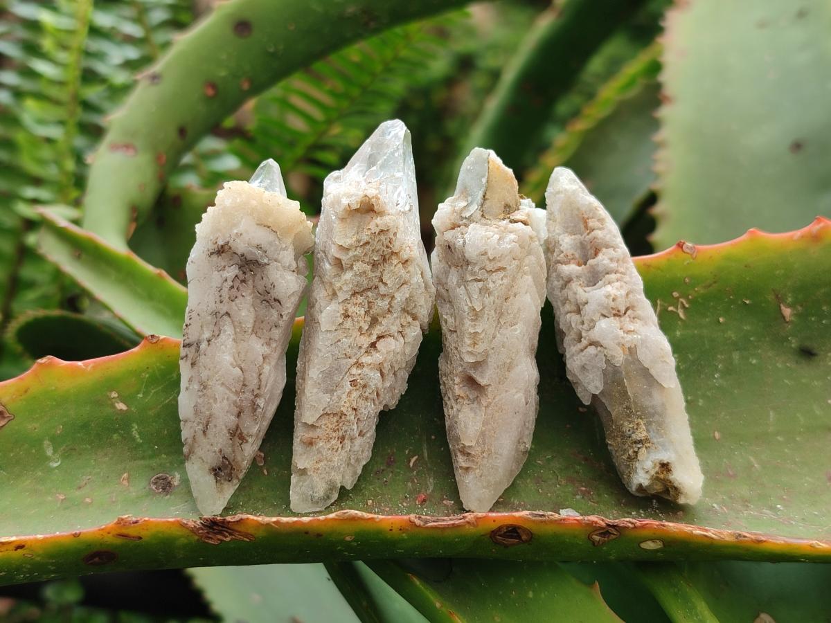 Natural Drusy Quartz Coated Spearhead Calcite Specimens x 20 From Albert's Mountain, Lesotho