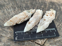 Natural Drusy Quartz Coated Spearhead Calcite Specimens x 20 From Albert's Mountain, Lesotho