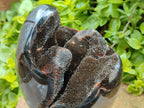 Polished Septerye Sauvage "Dragons Egg" Geode x 1 From Mahajanga, Madagascar