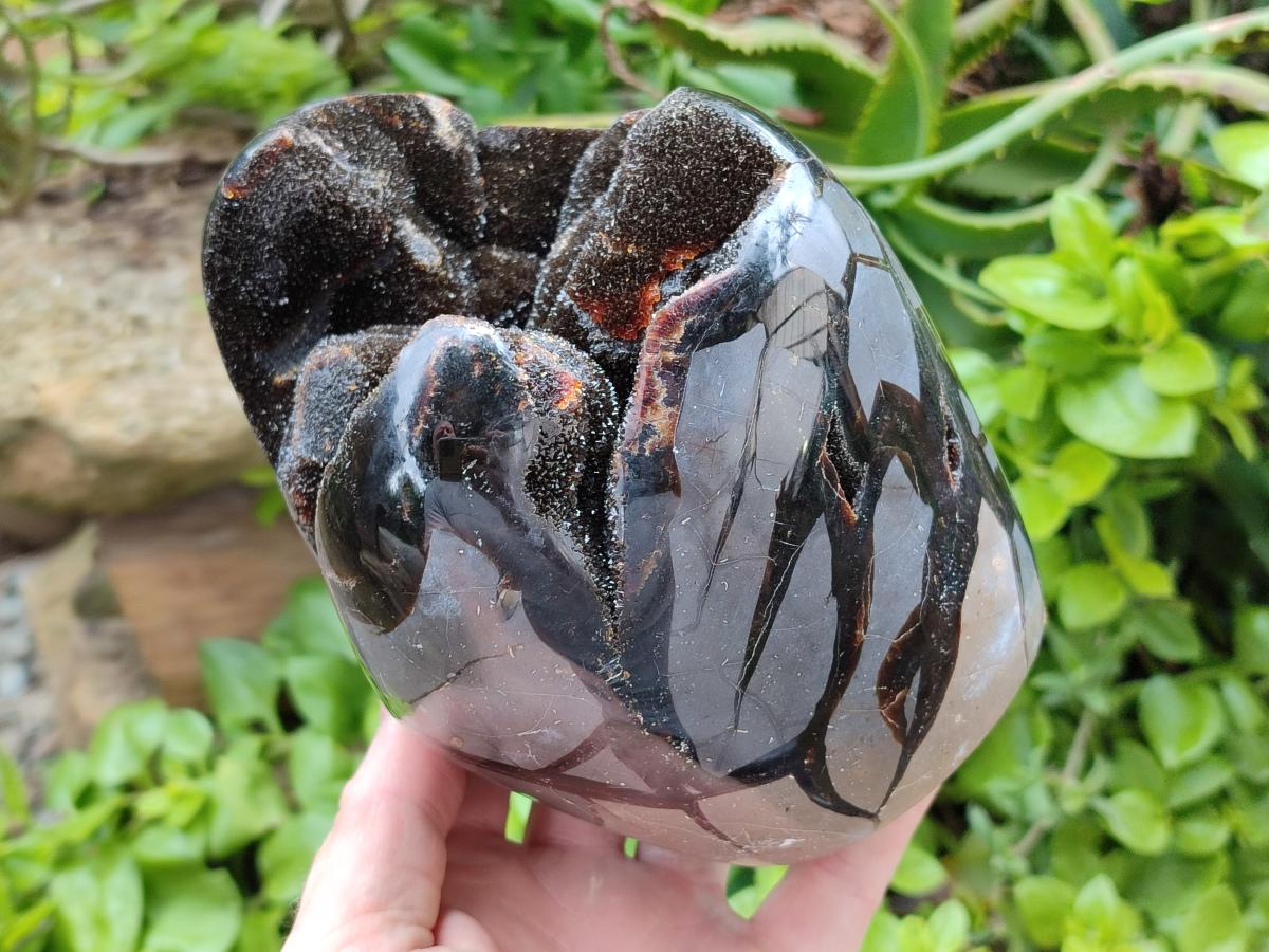 Polished Septerye Sauvage "Dragons Egg" Geode x 1 From Mahajanga, Madagascar