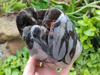 Polished Septerye Sauvage "Dragons Egg" Geode x 1 From Mahajanga, Madagascar