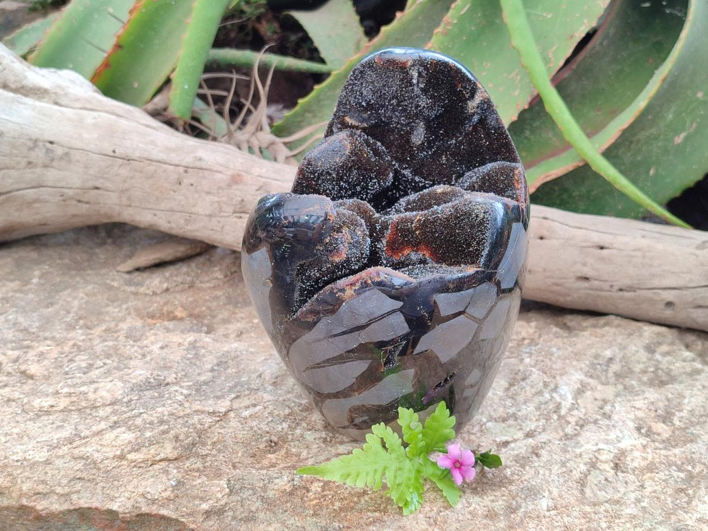 Polished Septerye Sauvage "Dragons Egg" Geode x 1 From Mahajanga, Madagascar
