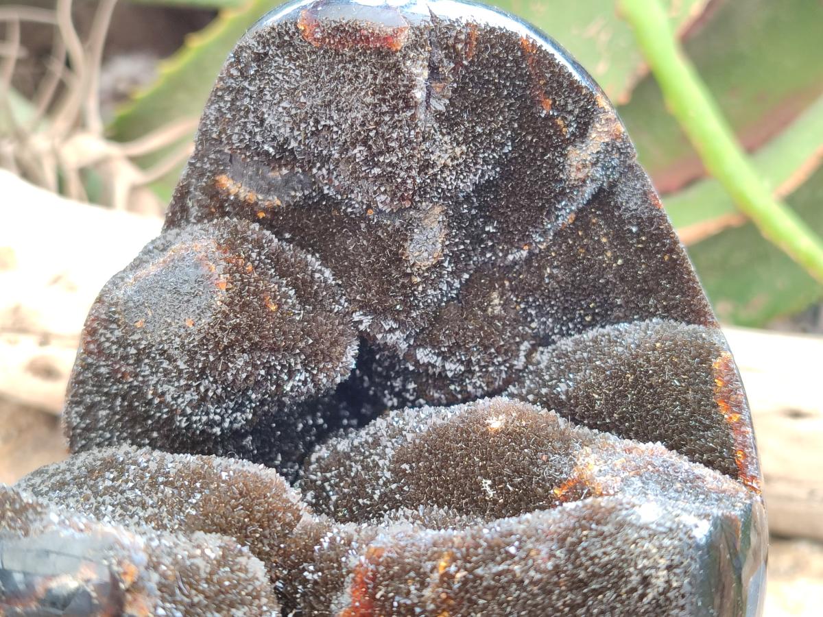 Polished Septerye Sauvage "Dragons Egg" Geode x 1 From Mahajanga, Madagascar