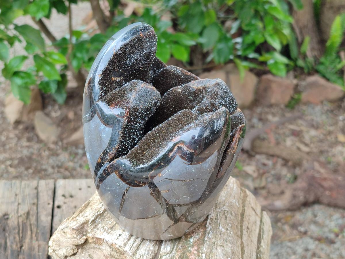 Polished Septerye Sauvage "Dragons Egg" Geode x 1 From Mahajanga, Madagascar