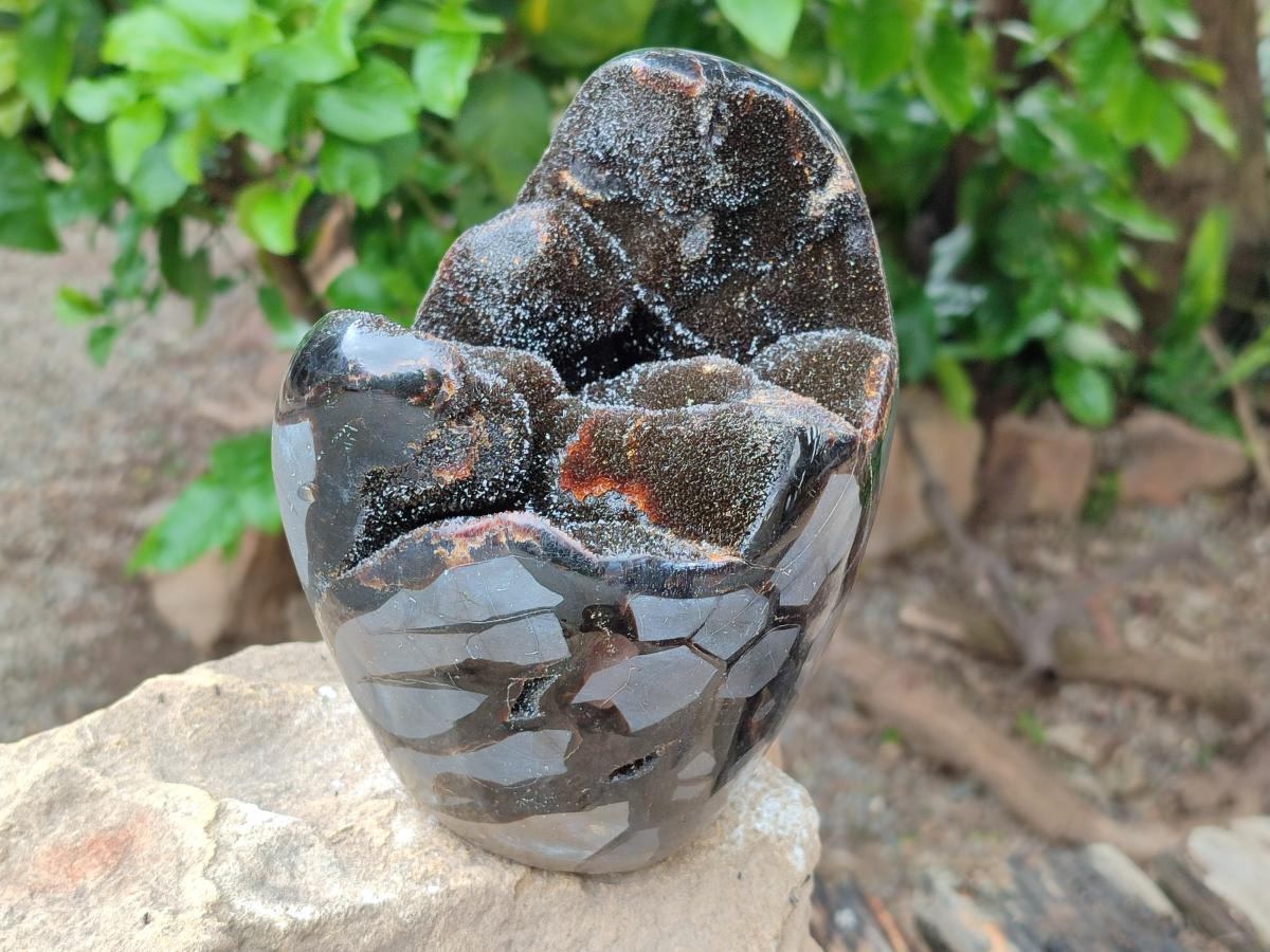 Polished Septerye Sauvage "Dragons Egg" Geode x 1 From Mahajanga, Madagascar