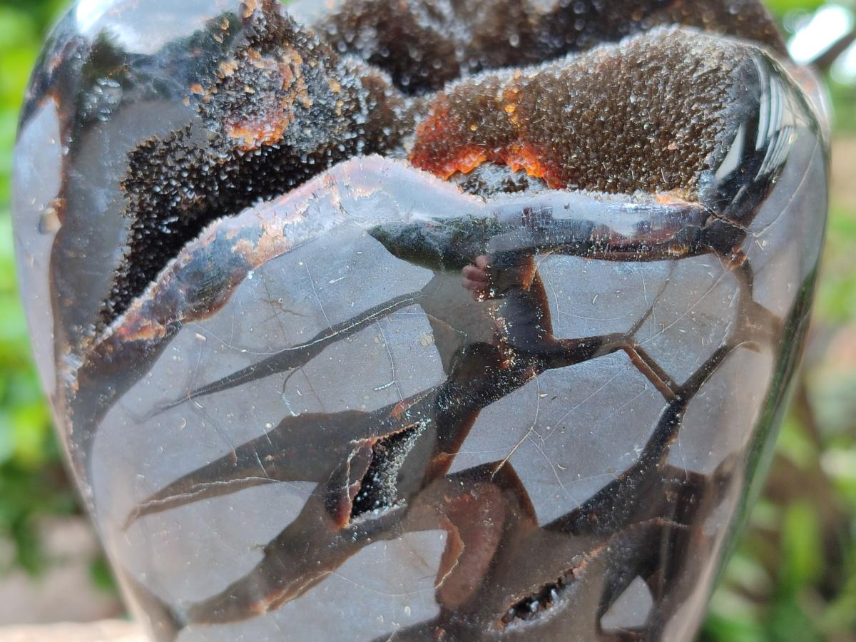 Polished Septerye Sauvage "Dragons Egg" Geode x 1 From Mahajanga, Madagascar