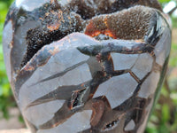 Polished Septerye Sauvage "Dragons Egg" Geode x 1 From Mahajanga, Madagascar