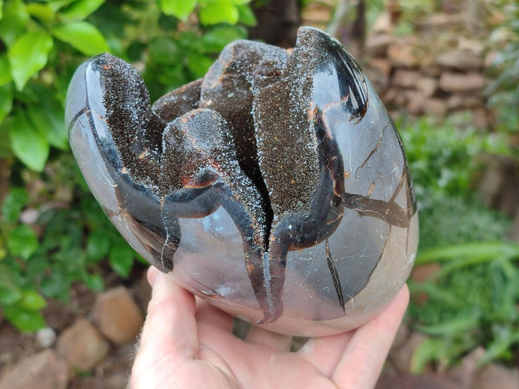 Polished Septerye Sauvage "Dragons Egg" Geode x 1 From Mahajanga, Madagascar