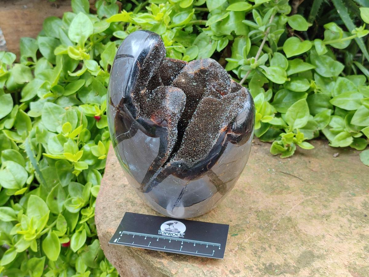 Polished Septerye Sauvage "Dragons Egg" Geode x 1 From Mahajanga, Madagascar