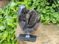 Polished Septerye Sauvage "Dragons Egg" Geode x 1 From Mahajanga, Madagascar