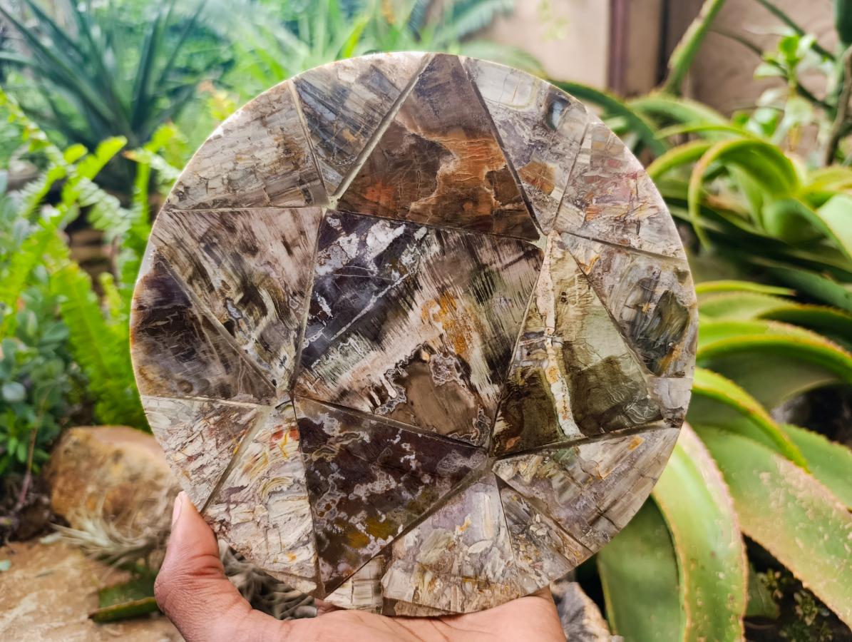 Hand Made Red Podocarpus Petrified Wood Conglomerate Plaques x 3 From Mahajanga, Madagascar