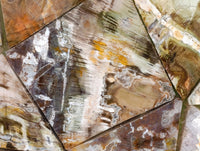 Hand Made Red Podocarpus Petrified Wood Conglomerate Plaques x 3 From Mahajanga, Madagascar