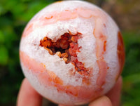 Polished Carnelian Agate Gemstone Spheres x 6 From Madagascar
