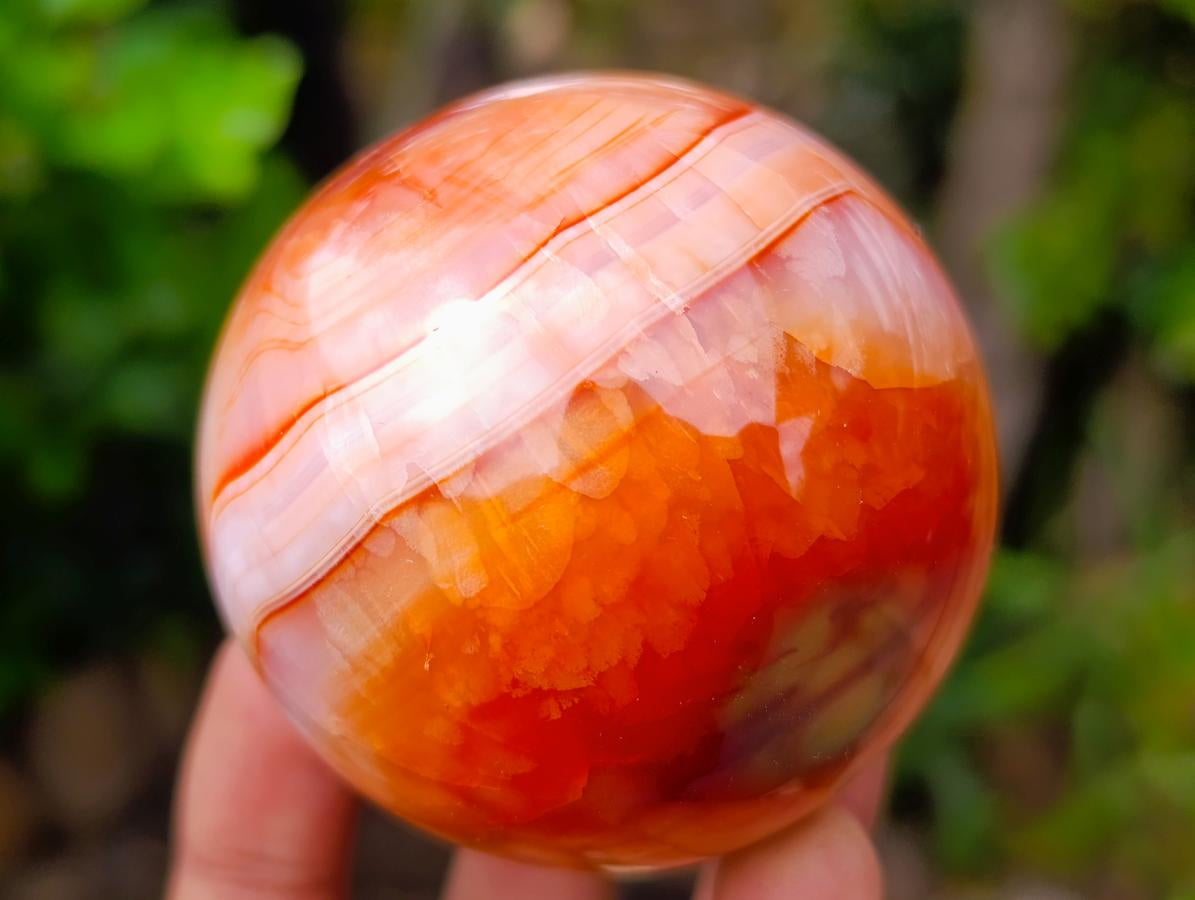 Polished Carnelian Agate Gemstone Spheres x 6 From Madagascar