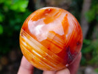 Polished Carnelian Agate Gemstone Spheres x 6 From Madagascar