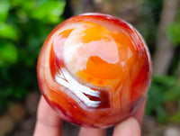 Polished Carnelian Agate Gemstone Spheres x 6 From Madagascar