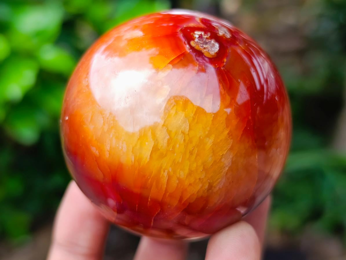 Polished Carnelian Agate Gemstone Spheres x 6 From Madagascar