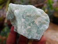 Natural Cobbed Aquamarine Specimens x 12 From Northern Cape, South Africa