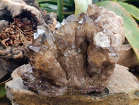 Natural Smokey Citrine Quartz Cluster with Phantoms x 1 From Luena, Congo