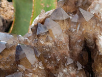 Natural Smokey Citrine Quartz Cluster with Phantoms x 1 From Luena, Congo