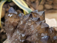 Natural Smokey Citrine Quartz Cluster with Phantoms x 1 From Luena, Congo