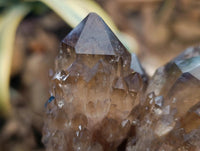 Natural Smokey Citrine Quartz Cluster with Phantoms x 1 From Luena, Congo