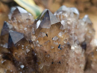 Natural Smokey Citrine Quartz Cluster with Phantoms x 1 From Luena, Congo