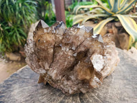 Natural Smokey Citrine Quartz Cluster with Phantoms x 1 From Luena, Congo