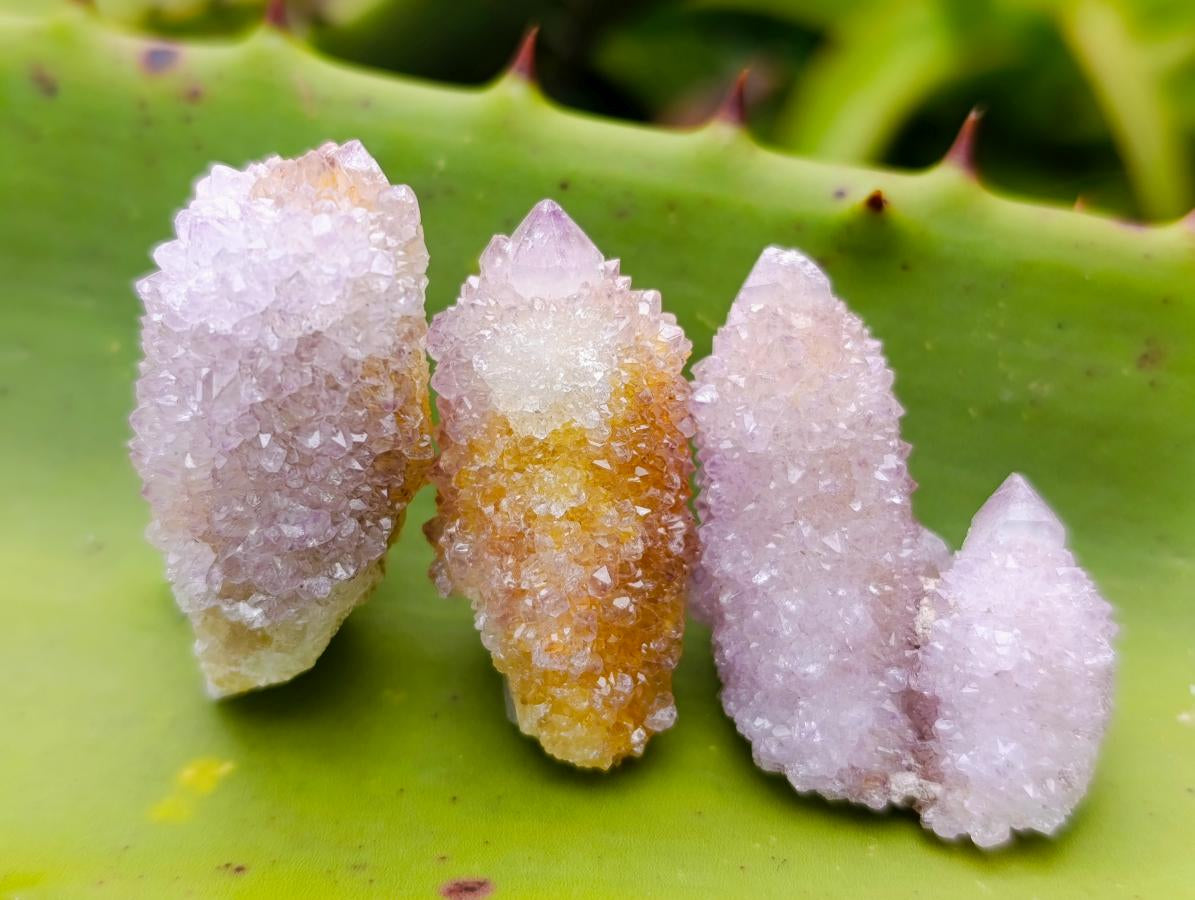 Natural Mixed Lilac and Ametrine Spirit Crystals x 70 From Boekenhouthoek, South Africa