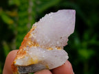 Natural Mixed Lilac and Ametrine Spirit Crystals x 70 From Boekenhouthoek, South Africa