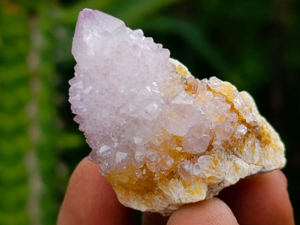 Natural Mixed Lilac and Ametrine Spirit Crystals x 70 From Boekenhouthoek, South Africa