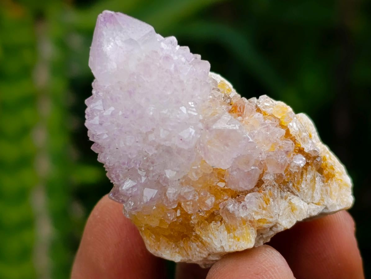 Natural Mixed Lilac and Ametrine Spirit Crystals x 70 From Boekenhouthoek, South Africa