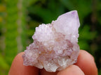 Natural Mixed Lilac and Ametrine Spirit Crystals x 70 From Boekenhouthoek, South Africa