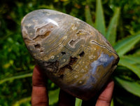 Polished Ocean Jasper Standing Free Forms x 3 From Northwest Coast, Madagascar