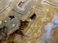 Polished Ocean Jasper Standing Free Forms x 3 From Northwest Coast, Madagascar