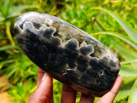 Polished Ocean Jasper Standing Free Forms x 3 From Northwest Coast, Madagascar