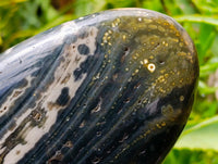 Polished Ocean Jasper Standing Free Forms x 3 From Northwest Coast, Madagascar