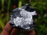 Natural Bright Silver Lead Galena Cobbed Specimens x 6 From Kaokoveld, Namibia