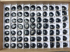 Polished Mini Black Tourmaline Free Forms x 70 From Madagascar