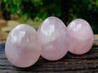 Polished Rose Quartz Eggs x 6 From Madagascar