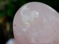 Polished Rose Quartz Eggs x 6 From Madagascar