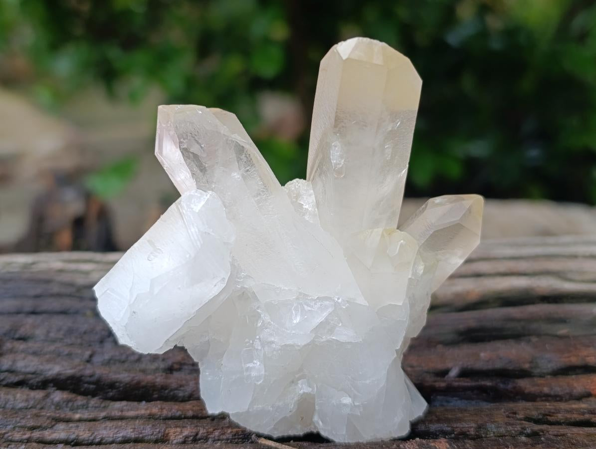 Natural Mixed Quartz Crystal Clusters x 12 From Madagascar