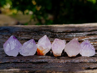 Natural Cactus Flower Smokey Amethyst Spirit Crystals x 70 From South Africa