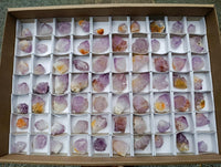 Natural Cactus Flower Smokey Amethyst Spirit Crystals x 70 From South Africa