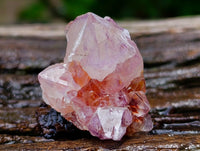 Natural Cactus Flower Smokey Amethyst Spirit Crystals x 70 From South Africa