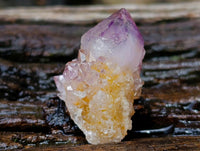 Natural Cactus Flower Smokey Amethyst Spirit Crystals x 70 From South Africa