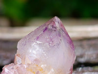 Natural Cactus Flower Smokey Amethyst Spirit Crystals x 70 From South Africa